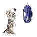 Yixiko Senses Cat Meow Toys Interactive Training Play Activity Kitten Toy Funny Blue Mouse Tail with Sound