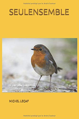 Amazon Com Seulensemble Histoire D Une Conversion French Edition 9798648381490 Lecaf Michel Books