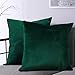 BGment Soft Velvet Cushion Cover, Decorative Square Throw Pillow Case for Sofa Car, Bedroom, Living Room, 18x18 inch - Emerald Green