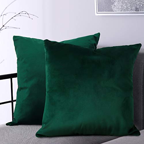 Best pillows for living room sofa