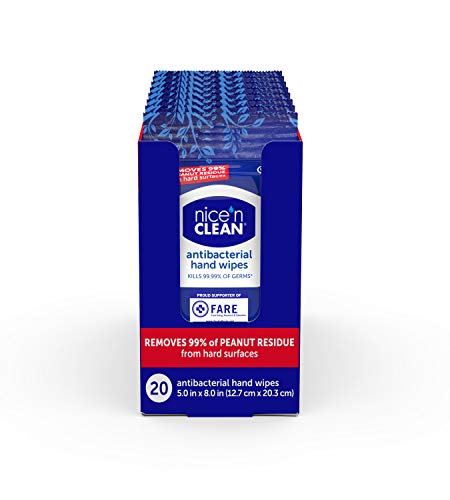 Nice 'n CLEAN Anti-Bacterial Hand Wipes, 20 Count (Pack of 6)