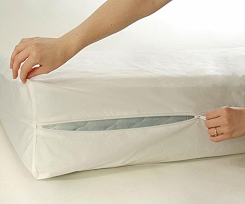 Elaine Karen Full Vinyl Zippered Hypoallergenic, Waterproof, Durable, Certified Bed Bug Proof Mattress Encasement Protector Cover