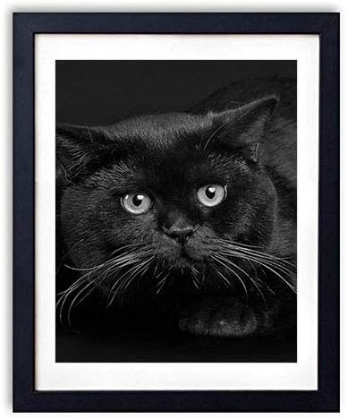 Amazon Co Jp 木製フォトフレーム 写真フレーム 木製の枠 35cmx50cm 猫が横たわっている恐怖暗い背景 白黒の装飾画 壁掛け 壁飾り 壁ポスター おしゃれ ウォールアート アートパネル 壁の絵 インテリア絵画 額縁 部屋飾り 黒額縁が飾っている 壁画 ホーム キッチン