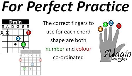 para aprender guitarra y práctica con póster de pared completamente  ilustrado. incluye carta de cartas A5 Adagio 2 cartas de acordes y escalas  de colores A4 Accesorios para músicos y producción musical
