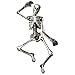 Amscan Halloween Decoration | Jointed Skeleton Cutout