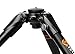 Vanguard VEO 204AB Aluminum Travel Tripod with Ball Head