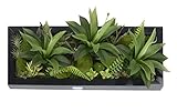 7.87 in 21.65 in, 3D Artificial Flowers Wall Hanger Succulent Plants Moss on the Stone Green Leaves Grass Ferns with Frame Shape Vase Wall Decor, Black Frame