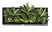 Artificial Flower-Wall Hanger 7.87 in 21.65 in, 3D Succulent Plants Moss on The Stone Green Leaves Grass Ferns with Frame Shape Vase Wall Decor, Black Frame