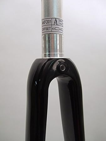 carbon fork integrated crown race