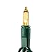 Gold Indoor/Outdoor Christmas String Lights 100 count mini copper wire