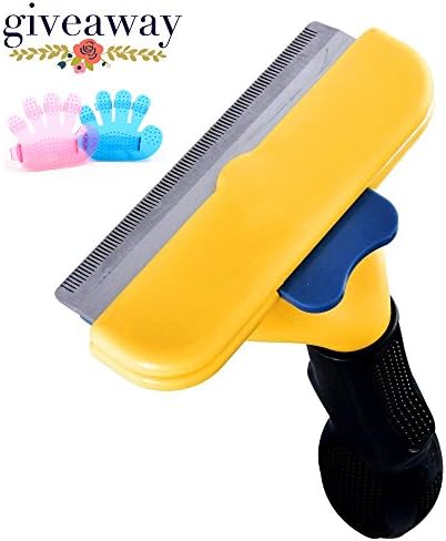 Iapetus Pet Grooming Brush and Tool for Dogs, Self Cleaning Slicker Brush for Short to Long haired Pets with Safety Blade, Pet Deshedding Tool (Short hair, Medium)