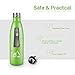 Terra Hiker Insulation Water Bottle, Double Walled Vacuum Stainless Steel Water Bottle, Condensation Free, BPA Free, for Sports & Outdoors, 18 oz/500 ml (Green)