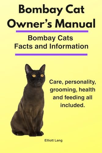 Korat Cats. Korat Cat Owners Manual. Korat Cat care, personality, grooming,  health, training, costs and feeding all included.: Ronderdale, Robert:  9781910617229: Amazon.com: Books