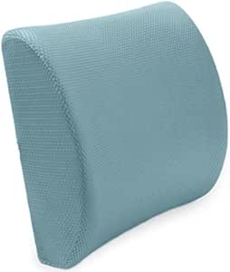 best lumbar pillow for lower back pain