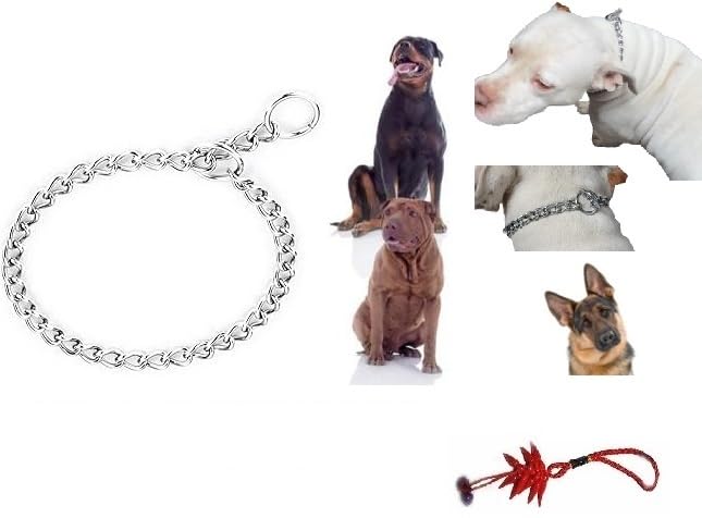 Stainless Steel Dog Collar - Heavy Duty Chain - All Breeds Small Medium Large for Training + 1 Amulet (L W 60 cm SP4 mm)