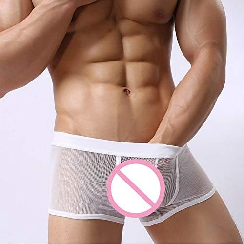 Men's underwear Mens Underwear Boxer Shorts Low-Waist Mesh See Through Boxers Underpants Men Transparent Lingerie Boxers Trunks