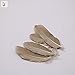 Pack of 12 Natural Goose Feather 15-20CM/5.9-7.9inch Party Decoration Gold