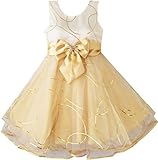Sunny Fashion Girls Dress Champagne Multi-layers Wedding Pageant