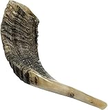 Nana Gifts Authentic Ram Horn Shofar from