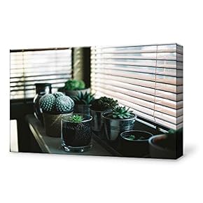 Cute Succulent Painting Wall Poster Decor for Living Room Framed