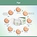 Amada Pure Scar Removal Cream - Acne Scar Removal Cream for Face and Body, Old & New Scars from Cuts, Stretch Marks, C-Sections & Surgeries - with Natural Herbal Extracts Formula - (30 ml)
