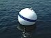TAYLOR MADE PRODUCTS Sur-Moor T3C Mooring Marine Buoy, White (16