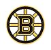 Boston Bruins NHL car bumper sticker decal (5