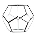 Koyal Wholesale Geometric Terrarium Glass Table Decoration, Planter for Succulents, Cactus, Air Plants, Indoor Plants, Outdoor Plants (Pentagon, Black)