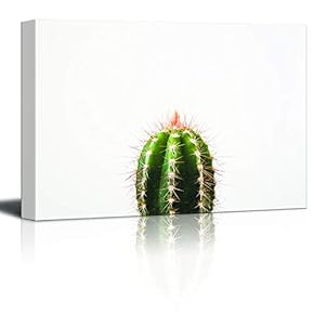 Canvas Wall Art Green Cactus Red Flower Painting Artwork for Home Prints Framed - 12x18 inches