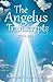 The Angelus Transcripts: 2013-2014 by Emrayel A'a Ra iry a'a