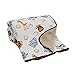 Bedtime Originals Jungle Buddies Velour Sherpa Blanket , Original Version , 30x40 Inch (Pack of 1)