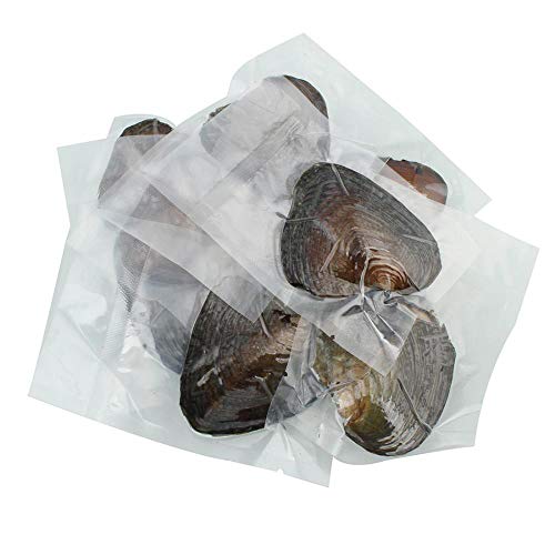 3 Freshwater+Cultured+Various+Shining+Meaningful