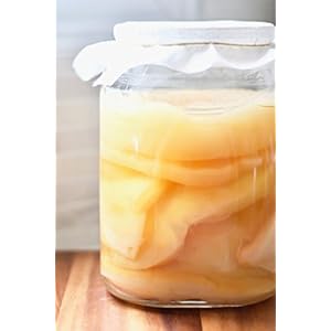 JUN Tea 5L (XL) Kombucha Scoby Certified Organic UKAS LAB Getest – voor groene thee en honing door Kombuchaorganic…