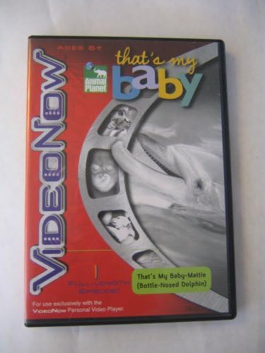 Videonow: That's My Baby-mattie (Bottle-nosed Dolphin)