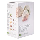 Plant Theatre Forbidden Fruit Kit Gift Box - 5 Delectable Fruits to Grow - Everything You Need to Start Growing in one Box! - Great Grow Kit Gift