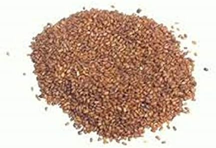 vinarghya - Hedge Seed/Khubkala/Khaksi/Ranteekhee/Jangali Sarson/Jeevakamu/Khubakalan/Maktrusa/London Rocket/Jalijan/Khubba/Shaba/Banarasi Rai / खुबकला – 50g