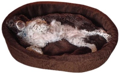 Dog Bed King USA Large Plush Fur Dog Ortho Comfort Bed, 33-Inch by 23-Inch by 7-Inch, Brown, My Pet Supplies