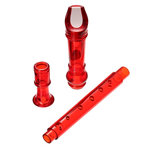 1 KINGSO+Recorder+Cleaning+Instrument+transparent