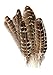 Hgshow 10pcs Touch of Nature Eagle Feathers