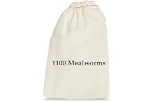 BASSETT'S CRICKET RANCH 1100 Mealworms - Worms for Reptiles and Birds