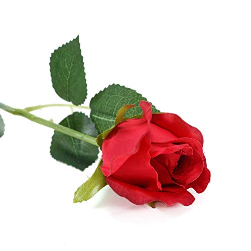 Amazon Com Balsacircle 24 Red Silk Single Stems Roses