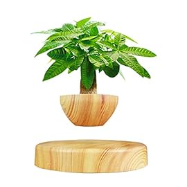 Creative Magnetic Levitating Air Bonsai Pot