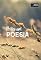 Livro Prece em Poesia