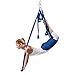 EuroSports High Load Capacity Aerial Yoga Swing/Inversion/Hammock/Sling For Flying Antigravity With a Carrying Bag