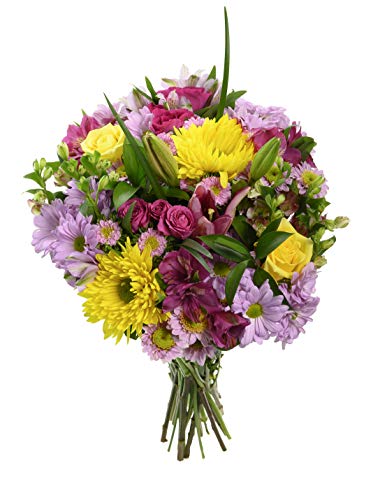 Spring Splendor Bouquet, Fresh Cut Flowers, No Vase, From Hallmark Flowers
