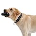 Goughnuts Dog Chew Toys Rubber Ring Indestructible Dog Chew Toys for Aggressive Power Chewers |for Large Dogs 60 to 120 Pounds | Large Maxx Size, Toughest Pro50 Rubber|