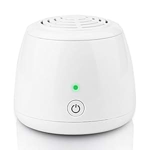 Amazon.com: RIGOGLIOSO Ionic Air Purifier, USB Portable Air Ionizer Ozone Freshener Remove 