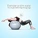 CPOKOH Exercise Ball,Anti Burst and Slip Resistant Yoga Ball,Swiss Ball,Fitness Ball,Ab Exercise Ball,Gym Ball,Workout Ball,Body Balance Ball, with Foot Pump(Silver,75cm)