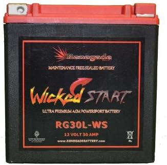Renegade Battery RG30L-LS 12 Volt, 30 Amp Wicked Start 600 CCA Ultra Premium Powersport Battery