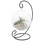 MyGift Charming Clear Glass Hanging Planter Terrarium Globe/Tea Light Candle Holder Lantern w/Black Metal Stand
